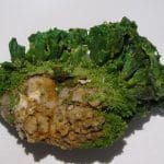 Cristaux de pyromorphite verte, mine des Farges, Ussel, Corrèze.