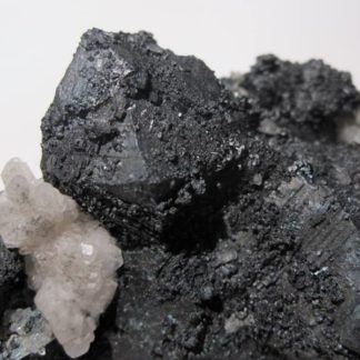 Bornite (minéral)