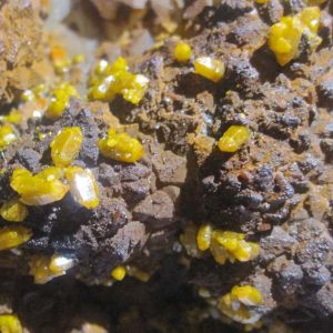 Pyromorphite jaune, Les Farges, Ussel, Corrèze.