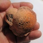 Mangano baryte, Grübe Hilfe Gottes, Bad Grund, Allemagne.