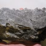 Dolomite sur Sphalérite (blende), mine de Trèves, Gard.