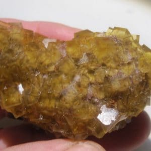 Cristaux de fluorine jaune, Le Bois Clair, Sologny, Saône-et-Loire.