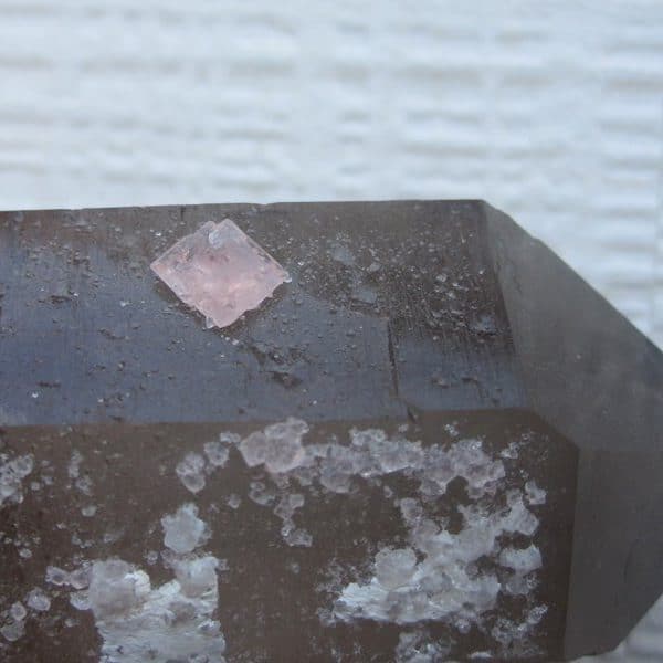 Cristaux de fluorite rose sur quartz fumé, Chamonix, Haute-Savoie.
