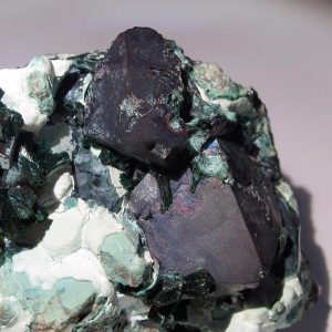 Cuprite sur malachite, Mashamba, Katanga, Congo.