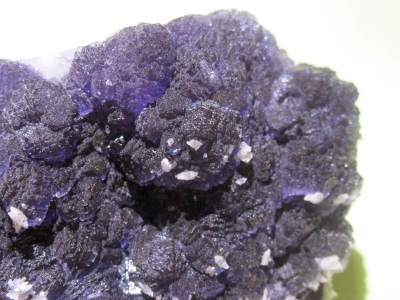 Fluorine violette, Fontsante, Var.