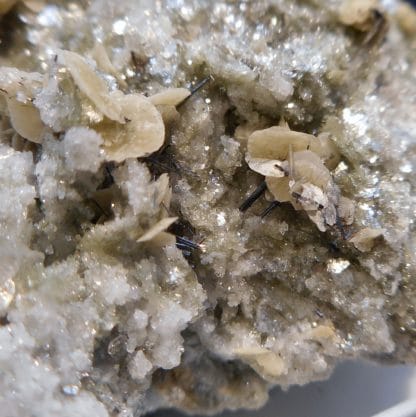 Pistomésite (Sidérite), Muscovite et Rutile, Tunnel de la Furka, Suisse.