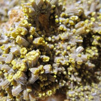 Cristaux de Pyromorphite, Les Farges, Ussel, Corrèze.