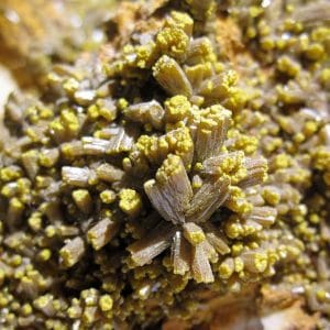 Cristaux de Pyromorphite, Les Farges, Ussel, Corrèze.