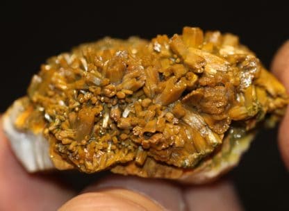 Double générations de pyromorphite, Les Farges, Ussel, Corrèze.