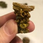 Pyromorphite, Les Farges, Corrèze, France.