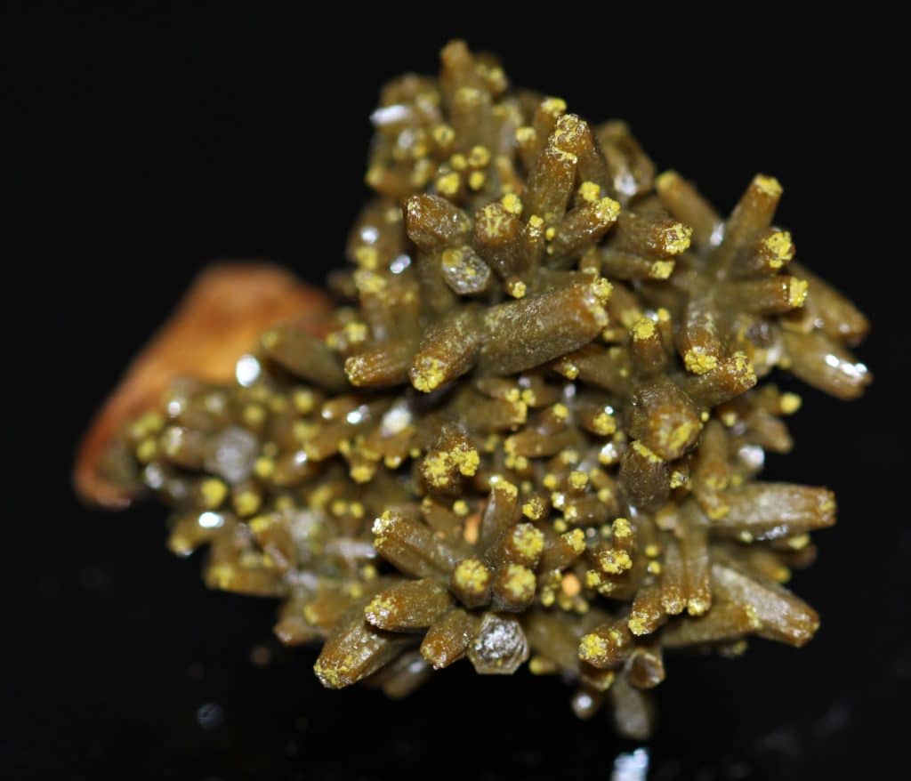 Pyromorphite en cristaux de type "Mustard Touch" des Farges, Ussel, Corrèze.