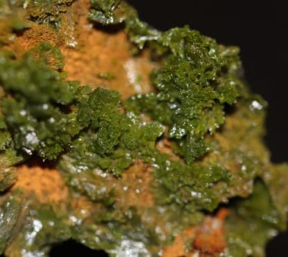 Pyromorphite, Saint Salvy, Tarn.