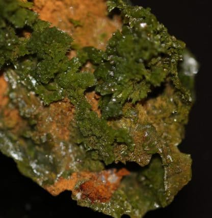 Pyromorphite, Saint Salvy, Tarn.