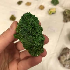 Pyromorphite verte, Les Farges, Corrèze, France.