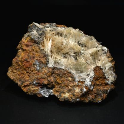 Scholzite, Reaphook Hill, Martins Well, Flinders Ranges, Australie.