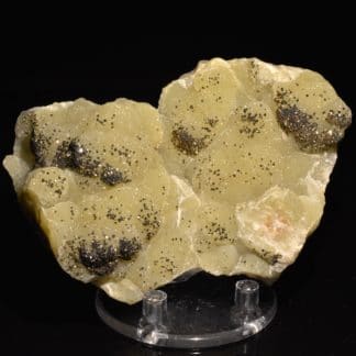 Sidérite et pyrite de Laguépie, Tarn-et-Garonne.