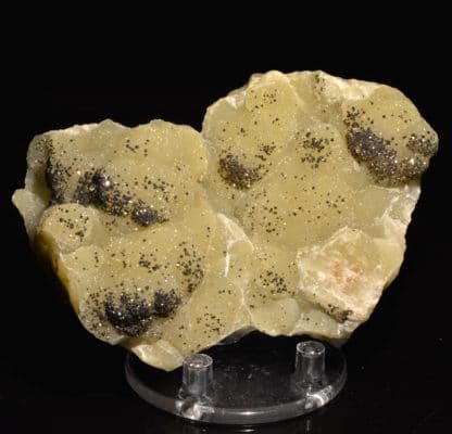 Sidérite et pyrite de Laguépie, Tarn-et-Garonne.