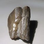 Stolzite, Sainte Lucie en Saint Léger de Peyre, Lozère.
