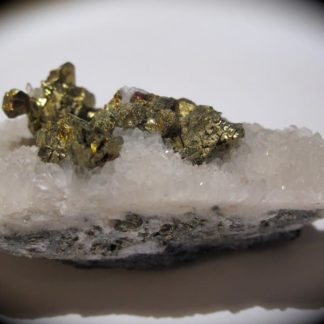 Chalcopyrite, mine de Montroc, Tarn.