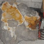 Calcite de la carrière de Haut-Lieu (Nord)