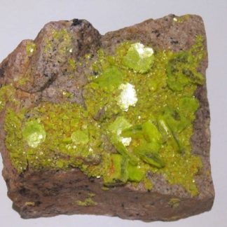 Uranocircite calcifère, Les Oudots, Saône-et-Loire, Morvan.