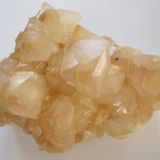 Cristaux de Calcite, carrière de Haut-Lieu, Nord.