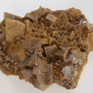 Calcite de Reims, Marne.