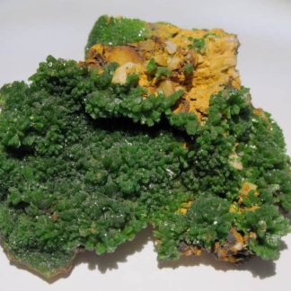 Pyromorphite verte brillante, Les Farges, Ussel, Corrèze.