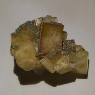 Fluorine jaune et pyrite de la mine de Montroc (Tarn).
