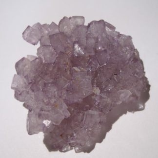 Fluorine violette de Fontsante, Var.