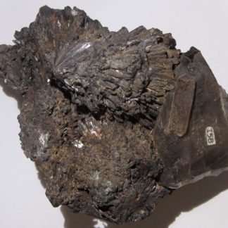 Goethite sur quartz, Pikes Peak, Colorado, USA.