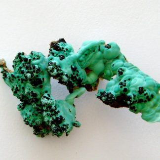 Malachite, minéral de cuivre de Bouche-Payrol à Brusque (Aveyron).