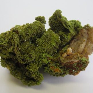 Pyromorphite, L'Oratoire, Asprière, Aveyron.