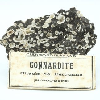 Gonnardite, La Chaux de Bergonne, Puy-de-Dôme, Auvergne.