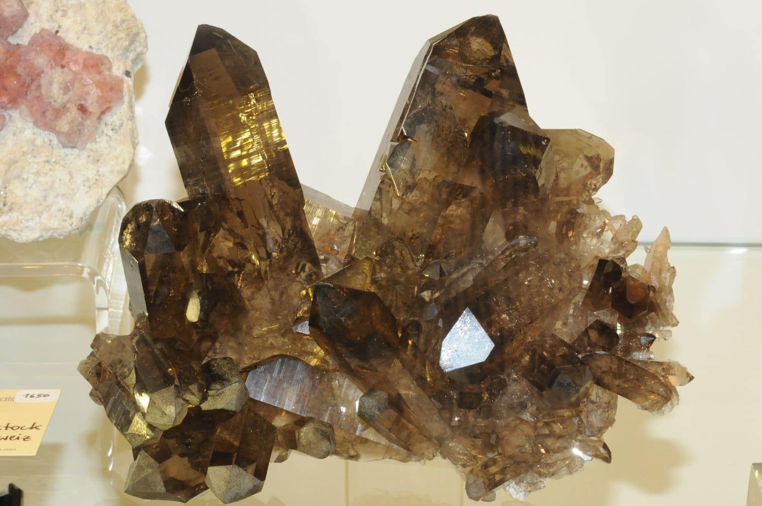 Quartz fumé suisse (Zinggenstock, Berner Oberlan).