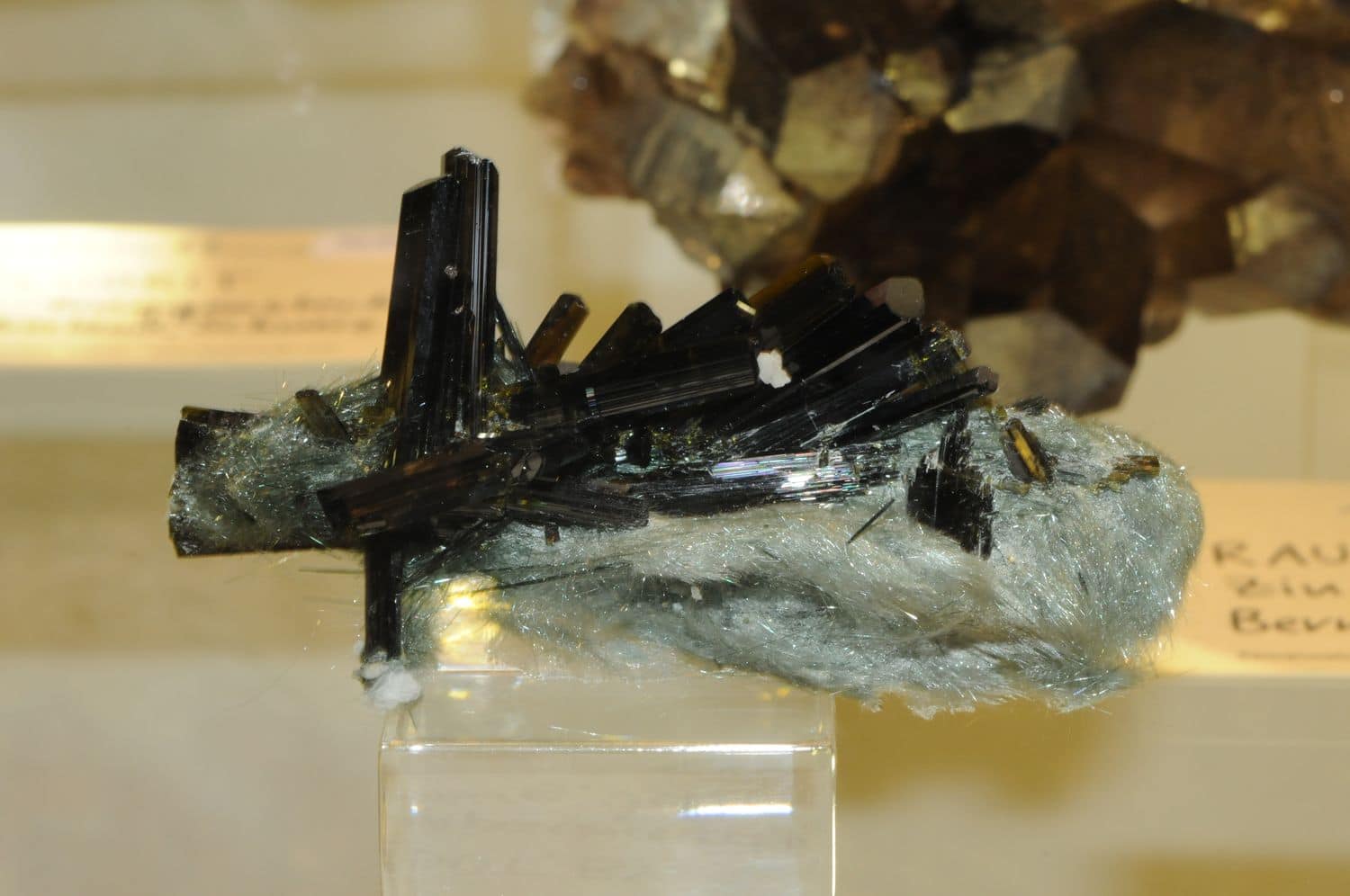 Epidote et actinolite, Knappenwand, Knappenwand area, Untersulzbach valley, Hohe Tauern, Salzburg, Autriche.