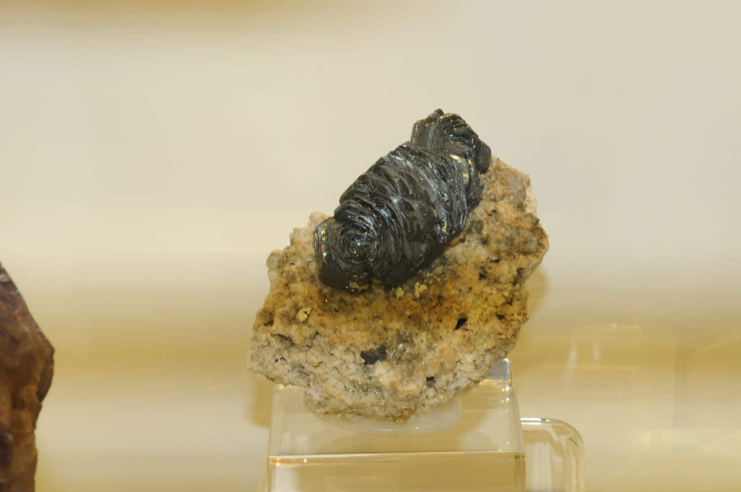 Hématite en "rose de fer", Fibbia, Gotthard, Tessin, Suisse.