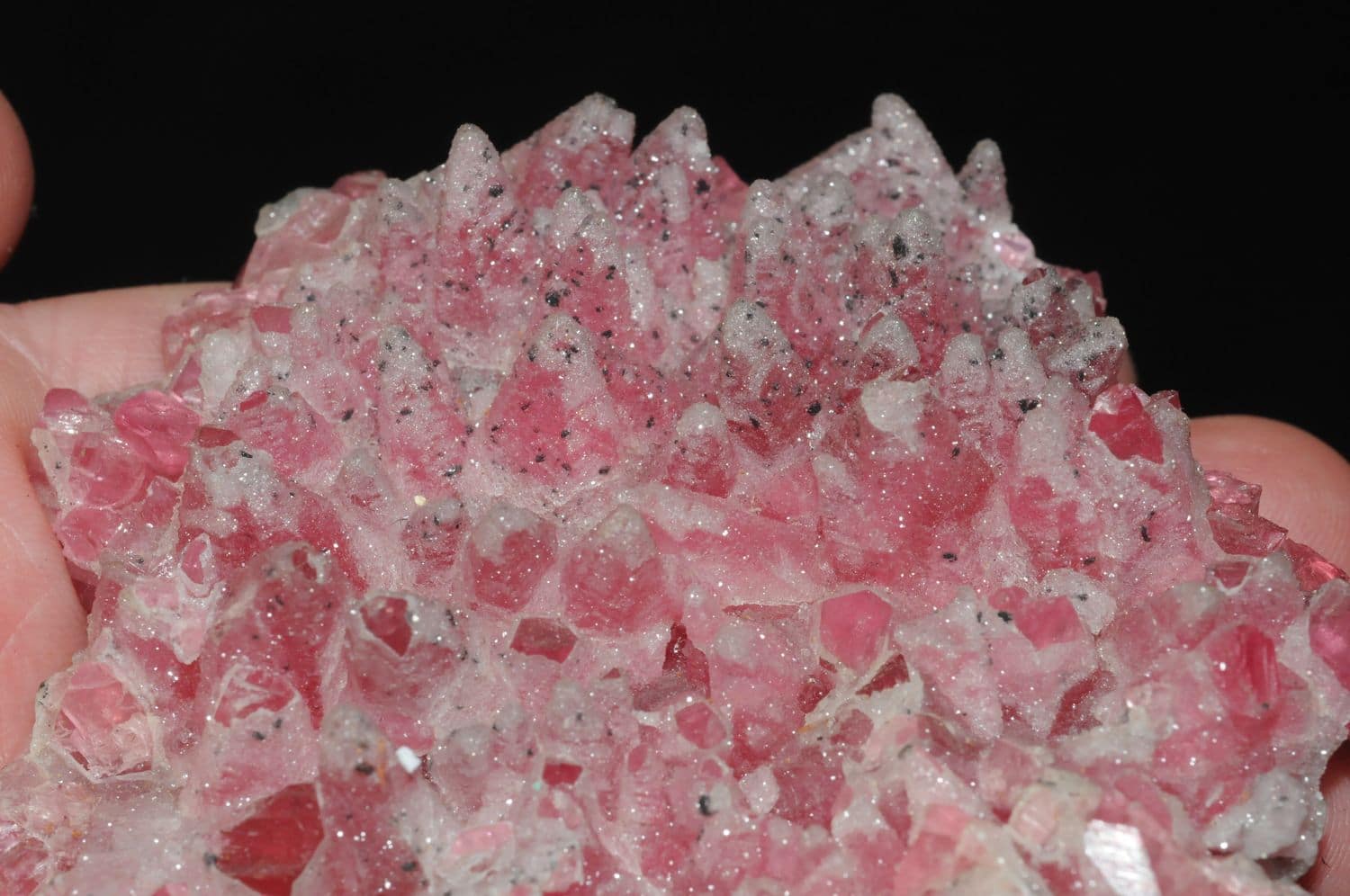 Rhodochrosite d'Afrique du Sud.