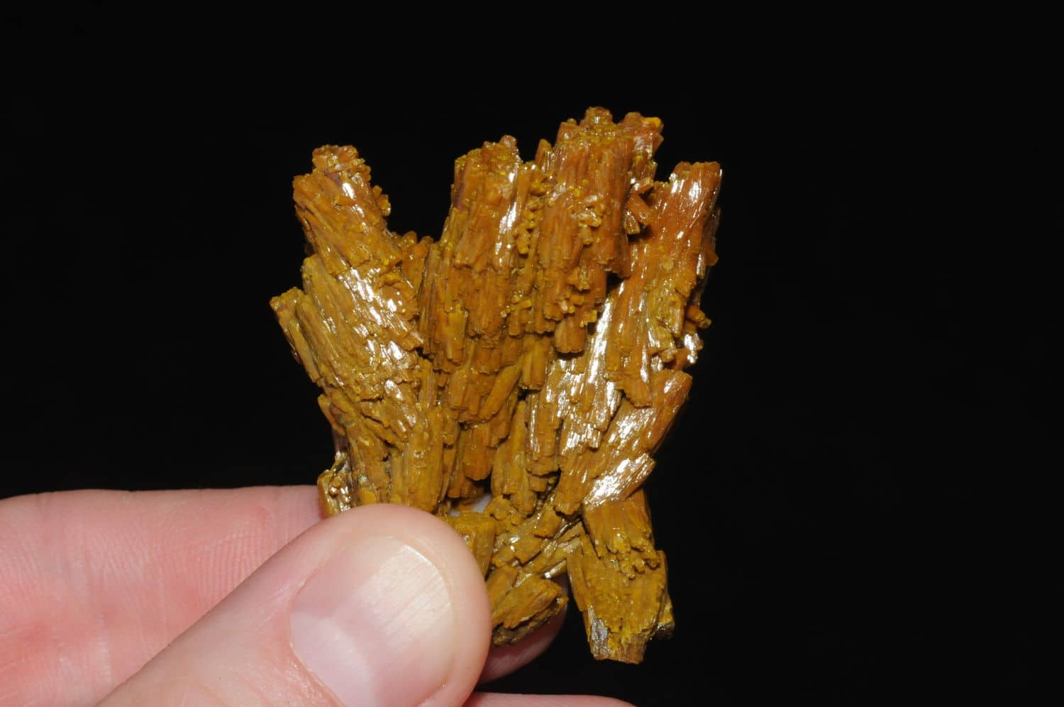 Pyromorphite de la mine des Farges, près d'Ussel (Corrèze).