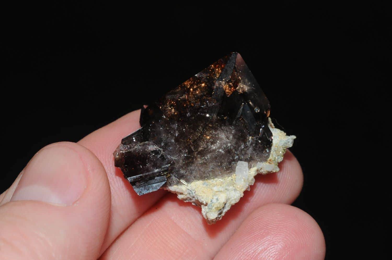 Axinite des rochers d'Armentier (Oisans, Isère).