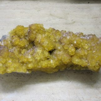 Fluorine jaune et violette, Le Bois Clair, Sologny, Saône-et-Loire.