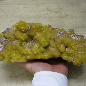 Fluorine jaune et violette, Le Bois Clair, Sologny, Saône-et-Loire.