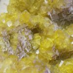 Fluorine jaune et violette, Le Bois Clair, Sologny, Saône-et-Loire.