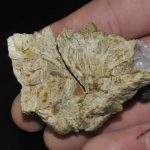 Bournonite sur sidérite de Saint-Pons (Alpes-de-Haute-Provence) – Image 6