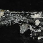 Actinote de Jerez de los Caballeros (Badajoz - Espagne).