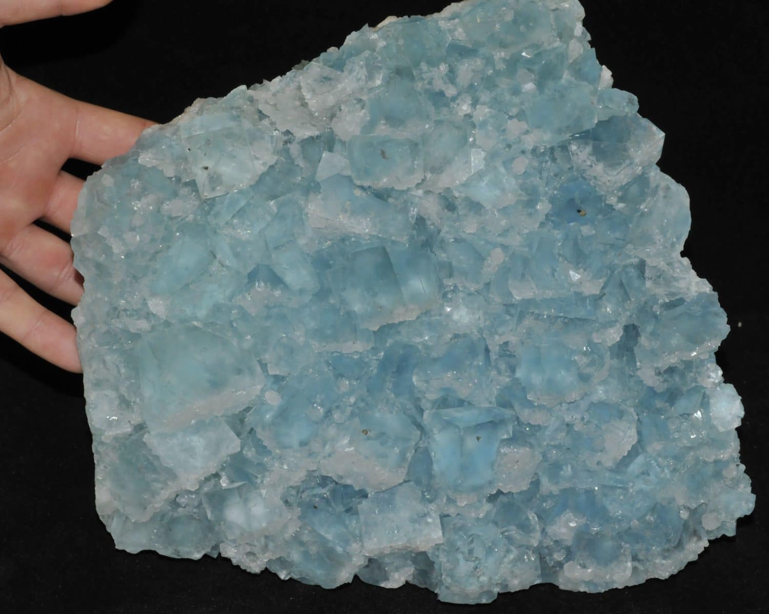 Fluorite bleue de la mine du Burc au Burg (Tarn).