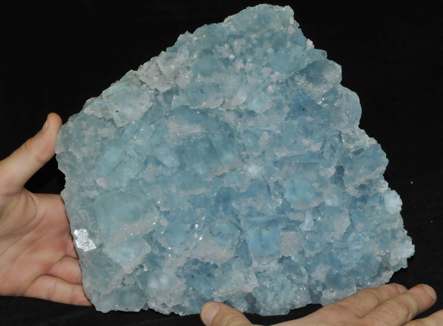 Cristaux de fluorite bleue de la mine du Burc au Burg (Tarn).