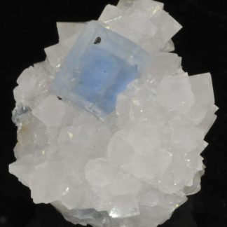 Fluorite bleue du Burc (Burg - Tarn).Fluorite bleue du Burc (Burg - Tarn).