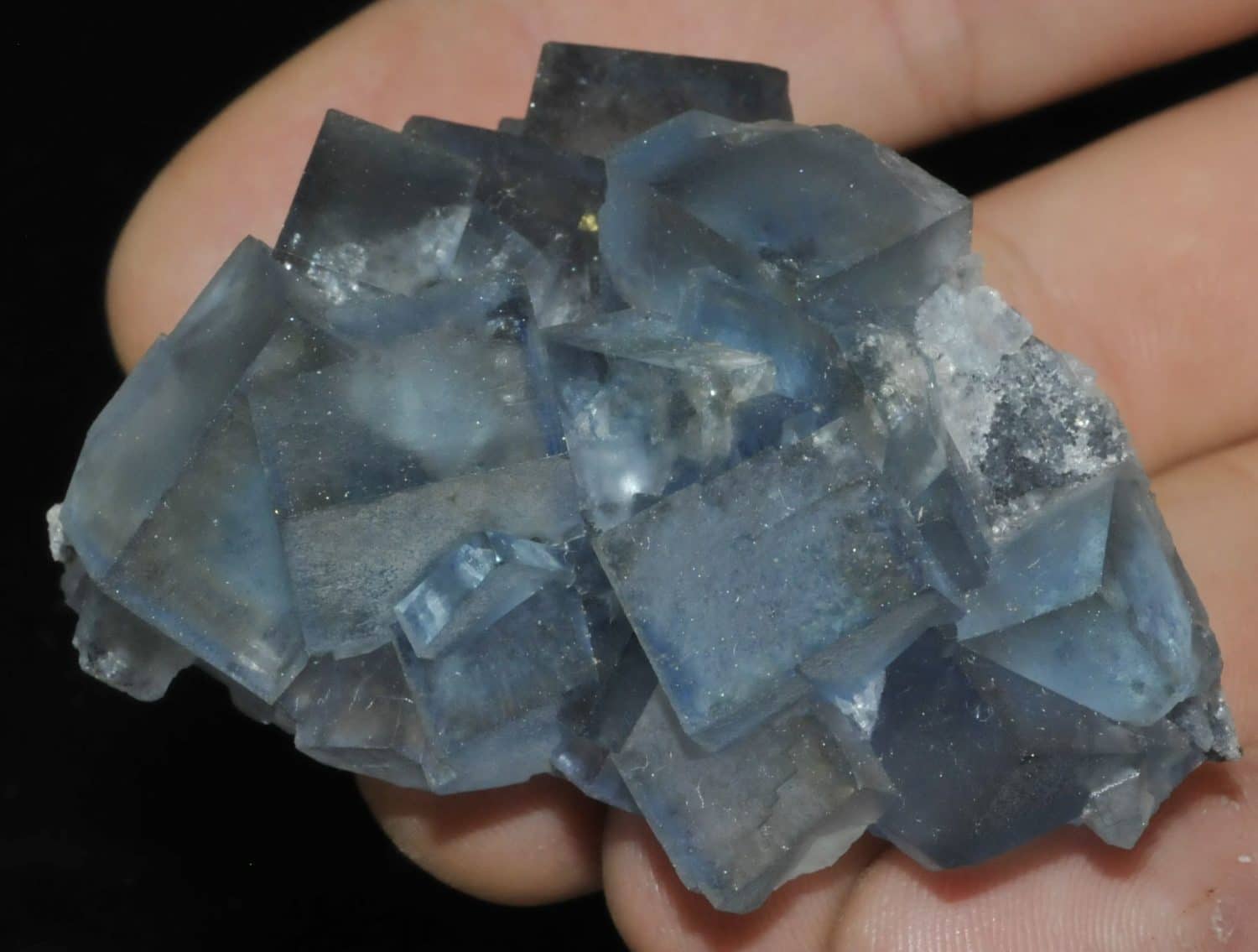 Cristaux de fluorine bleue de la mine de Montroc (Tarn).