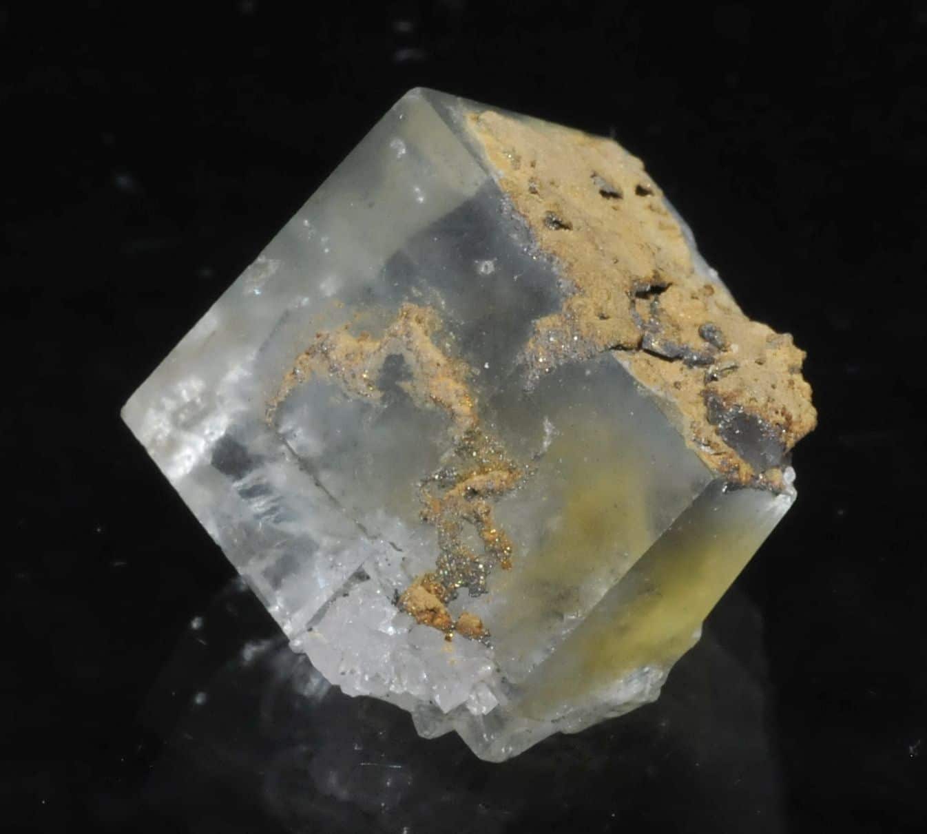 Fluorite jaune et bleue de la mine du Burc (au Burg - Tarn).